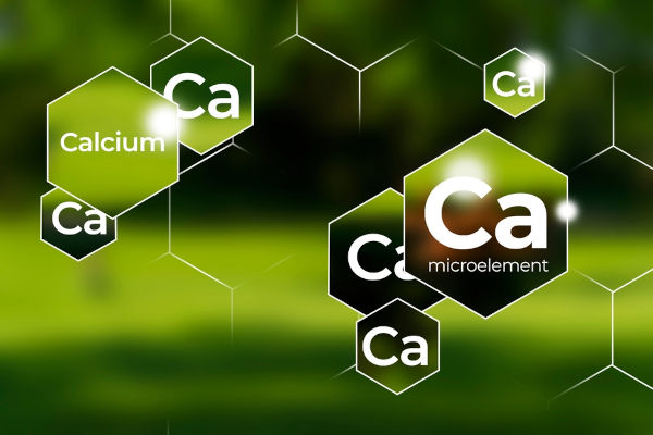 Schutz der Immunität, Calcium. Hexagons mit Calciumsymbol, unscharfer Hintergrund.